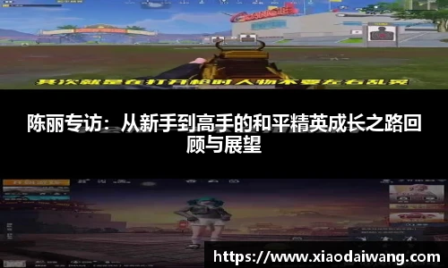 pg女王模拟器在线试玩