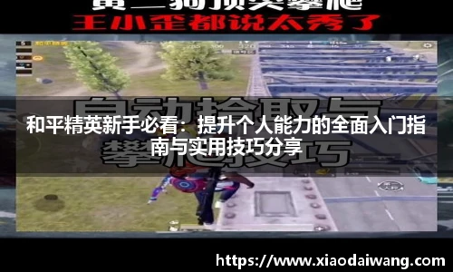 pg模拟器